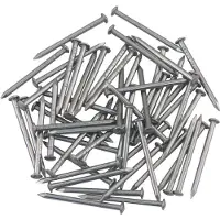 Ellen Tochtstrip - Nikkel - Nikkel - - tochtstripnagel 25 x 1.6 mm nikkel