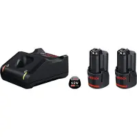 Bosch Professional 1600A019RD GAL 12V-40 + 2x GBA 12V 3.0Ah Accu en acculader voor gereedschap 12 V 3 Ah Li-ion