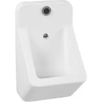 Boss & Wessing Urinoir bws toon 35,7x64 cm met sensor wit