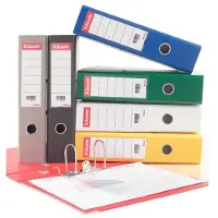 Esselte rugetiketten, ft 15,8 x 3 cm, pak van 100 stuks - 2 stuks