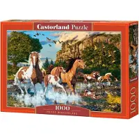 Castorland Horse Wonderland – Puzzel – 1.000 stukjes – Satijnen afwerking – Perfecte pasvorm – Europese kwaliteit