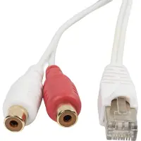 BOSSCOM RJ45 - Tulp stereo (v) kabel voor B&O | wit | 3 meter