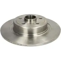 Delphi BG9133RS Remschijf