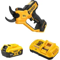 DeWalt Precautor 18V 1X5.0Ah Dcmpp568P1