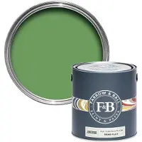 Farrow & Ball Dead Flat Raw Tomatillo CB6 0,75L