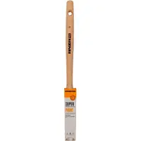 Anza Pro Super Point 21
