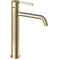 REA Foster High - Wastafelkraan - Geborsteld Goud - 15X5X28,7Cm