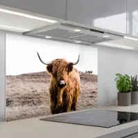 KitchenYeah Spatscherm 90x60 cm - Zelfklevende achterwand Schotse hooglander - Landschap - Koe - Bruin - Dieren - Natuur - Keuken muurbeschermer - Spatwand fornuis