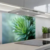 KitchenYeah Spatscherm 80x55 cm - Zelfklevende achterwand Blad - Plant - Groen - Textuur - Keuken muurbeschermer - Spatwand fornuis