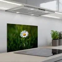 KitchenYeah Spatscherm 60x45 cm - Zelfklevende achterwand Wit - Madeliefje - Bloem - Gras - Keuken muurbeschermer - Spatwand fornuis