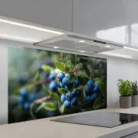 KitchenYeah Spatscherm 120x60 cm - Zelfklevende achterwand Blauwe bessen - Dauwdruppels - Natuurlijk licht - Keuken muurbeschermer - Spatwand fornuis