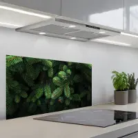 KitchenYeah Spatscherm 90x45 cm - Zelfklevende achterwand Sparrentakken - Knoppen - Naalden - Groen - Keuken muurbeschermer - Spatwand fornuis