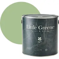 Little Greene Intelligent Exterior Eggshell - Pea Green No. 91 - 1L