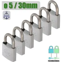 AMIG Hangslot met Sleutel Klein RVS Ø5/30mm - Standaard Beugel Buiten 6 Stuks
