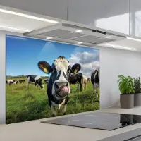 KitchenYeah Spatscherm 90x60 cm - Zelfklevende achterwand Koe - Tong - Weide - Keuken muurbeschermer - Spatwand fornuis
