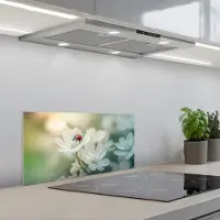 KitchenYeah Spatscherm 60x30 cm - Zelfklevende achterwand Lieveheersbeestje - Bloemen - Wit - Keuken muurbeschermer - Spatwand fornuis