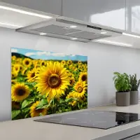 KitchenYeah Spatscherm 70x50 cm - Zelfklevende achterwand Zonnebloem - Geel - Natuur - Bloemen - Keuken muurbeschermer - Spatwand fornuis