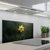 KitchenYeah Spatscherm 80x40 cm - Zelfklevende achterwand Bloem - Narcis - Gras - Geel - Keuken muurbeschermer - Spatwand fornuis