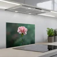KitchenYeah Spatscherm 60x40 cm - Zelfklevende achterwand Anjer - Roze - Bloemblaadjes - Keuken muurbeschermer - Spatwand fornuis