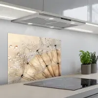 KitchenYeah Spatscherm 70x50 cm - Zelfklevende achterwand Paardenbloem - Abstract - Natuur - Beige - Keuken muurbeschermer - Spatwand fornuis