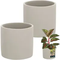 KOTARBAU Serie - Bloempot - Cilindrisch - 16 cm - Betonlook