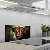 KitchenYeah Spatscherm 60x30 cm - Zelfklevende achterwand Schotse hooglander - Licht - Portret - Natuur - Keuken muurbeschermer - Spatwand fornuis