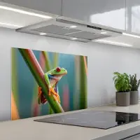 KitchenYeah Spatscherm 70x55 cm - Zelfklevende achterwand Kleurrijke kikker - Groene stengel - Alert - Keuken muurbeschermer - Spatwand fornuis