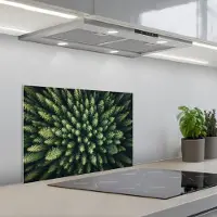 KitchenYeah Spatscherm 60x40 cm - Zelfklevende achterwand Bomen - Naaldwoud - Structuur - Keuken muurbeschermer - Spatwand fornuis