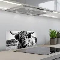 KitchenYeah Spatscherm 60x30 cm - Zelfklevende achterwand Schotse hooglander - Natuur - Koe - Zwart - Wit - Keuken muurbeschermer - Spatwand fornuis