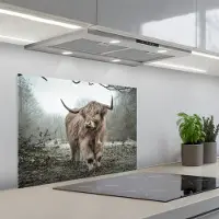 KitchenYeah Spatscherm 70x50 cm - Zelfklevende achterwand Schotse Hooglander - Bos - Mist - Koe - Dieren - Natuur - Keuken muurbeschermer - Spatwand fornuis