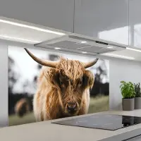 KitchenYeah Spatscherm 120x60 cm - Zelfklevende achterwand Schotse Hooglander - Koe - Gras - Dieren - Natuur - Keuken muurbeschermer - Spatwand fornuis