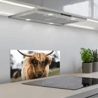 KitchenYeah Spatscherm 70x30 cm - Zelfklevende achterwand Schotse Hooglander - Koe - Gras - Dieren - Natuur - Keuken muurbeschermer - Spatwand fornuis
