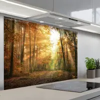 KitchenYeah Spatscherm 120x80 cm - Zelfklevende achterwand Bos - Herfst - Zon - Landschap - Natuur - Bomen - Bladeren - Keuken muurbeschermer - Spatwand fornuis