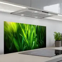 KitchenYeah Spatscherm 100x50 cm - Zelfklevende achterwand Grassprieten - Lichtinval - Groen - Keuken muurbeschermer - Spatwand fornuis