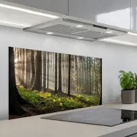 KitchenYeah Spatscherm 100x50 cm - Zelfklevende achterwand Zon - Takken - Bomen - Bos - Natuur - Keuken muurbeschermer - Spatwand fornuis