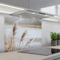 KitchenYeah Spatscherm 80x60 cm - Zelfklevende achterwand Riet - Meer - Winter - Natuur - Sneeuw - Beige - Keuken muurbeschermer - Spatwand fornuis