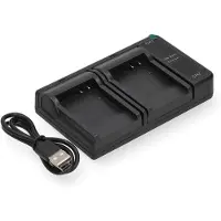 123accu Panasonic CGA-S008 / DMW-BCE10 / VW-VBJ10 USB-C double slot oplader (4.2V, 0.7A, huismerk)