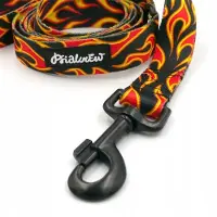Psiakrew Hondenlijn Dog On Fire 160cm - Stoer Rock & Roll Design