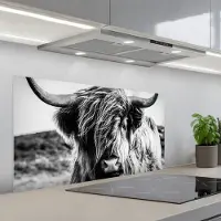 KitchenYeah Spatscherm 100x50 cm - Zelfklevende achterwand Koe - Schotse hooglander - Zwart - Wit - Dier - Natuur - Wild - Keuken muurbeschermer - Spatwand fornuis