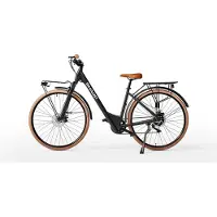 Sharp elektrische dames stadsfiets met lage instap female
