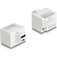 DeLOCK Keystone-module met USB Type-A en USB Type-C oplaadpoort, PD 20W, wit