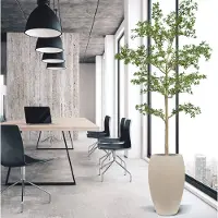 Maxifleur Kunstplanten Bucida shady Lady Kunstboom 270cm groen