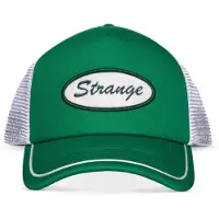 Wrangler Stranger things - Felt Patch Trucker pet - Wit/Groen
