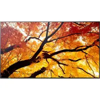 Sharp 60006053 PN-M432 43" M-Series Large Format Display UHD 550cd/m2 D-LED backlight 24/7 proof SDM Slot CM-Slot