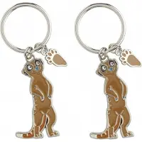 Nature Planet Sleutelhanger stokstaartje - 2x - metaal - 5 cm - cadeau artikelen
