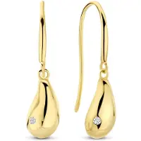 New Bling - 9NBG-0902 - 14K geelgouden Oorknoppen – Vis-Haak met Zirkonia – Dames Oorbellen