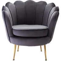 Vente-Unique.nl Fauteuil van fluweel DANDELION - Antraciet