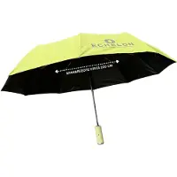 Echelon Stormproof Opvouwbare Paraplu – Automatische Knop – Wind & Waterdicht - Compact en Stevig – Inclusief Beschermhoes – Groen