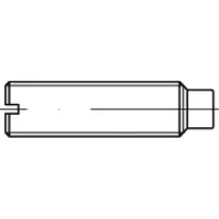 Toolcraft TO-5435049 Draadpen M6 25 mm 100 stuk(s)