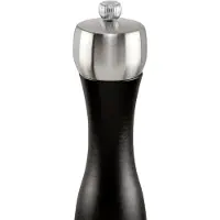 Peugeot Fidji zoutmolen - noir mat - 20 cm